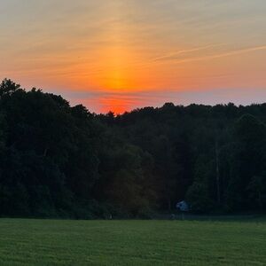 Meet your Posher, Gina